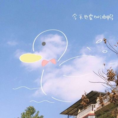 新西兰央行官员认为经济仍存过剩产能 或影响应对油价冲击的政策力度