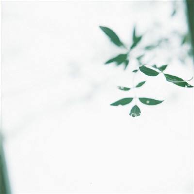 2025年中国科学十大进展