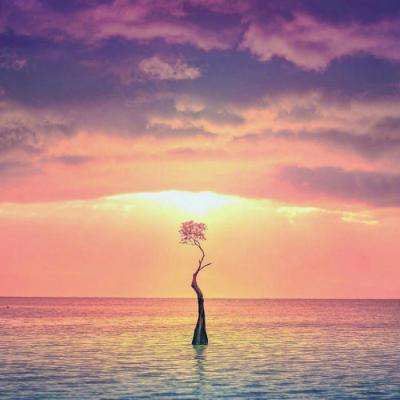 独家评论:七年后再创一个奇迹是北京未来选择